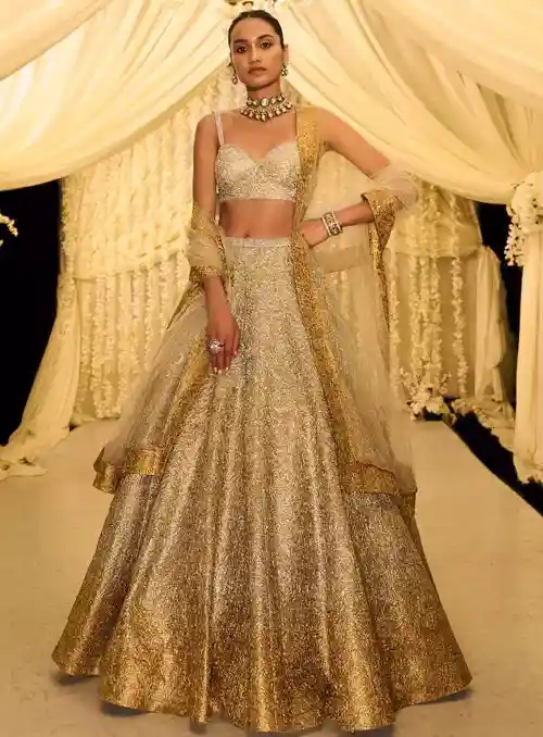 Gold-silver wedding lehenga choli design