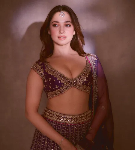Tamannaah Bhati dons purple embroidered blouse with matching lehenga