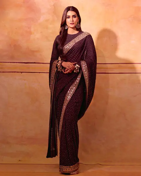 Kriti Sanon wore dark brown saree with matching full sleeves blouse